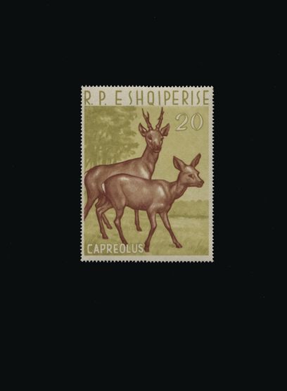 Lot 308 - Albania  -  Universal Philatelic Auctions Sale #60